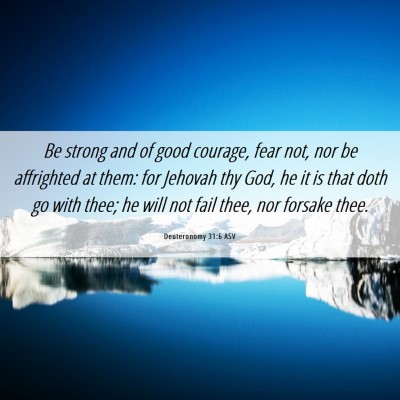 Picture 06 - Deuteronomy 31:6 ASV - Be strong and of good courage, fear not, nor be - Bible Verse Picture