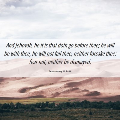 Picture 06 - Deuteronomy 31:8 ASV - And Jehovah, he it is that doth go before thee; - Bible Verse Picture