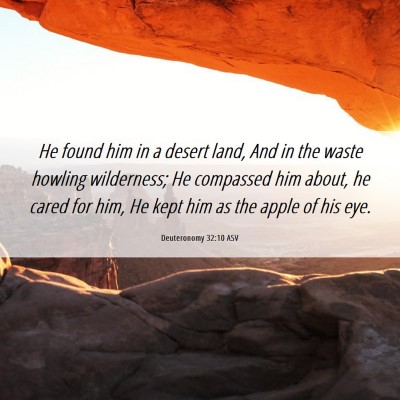 Picture 06 - Deuteronomy 32:10 ASV - He found him in a desert land, And in the waste - Bible Verse Picture