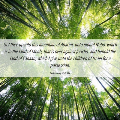 Picture 06 - Deuteronomy 32:49 ASV - Get thee up into this mountain of Abarim, unto - Bible Verse Picture