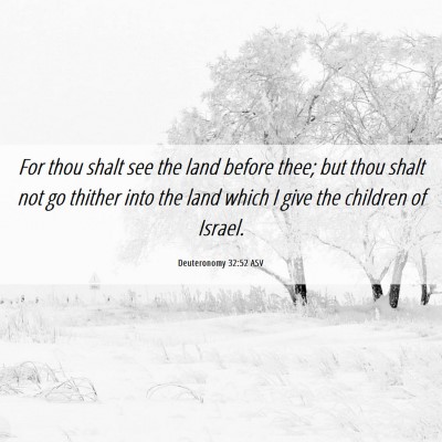 Picture 06 - Deuteronomy 32:52 ASV - For thou shalt see the land before thee; but thou - Bible Verse Picture