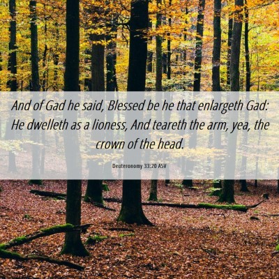 Picture 06 - Deuteronomy 33:20 ASV - And of Gad he said, Blessed be he that enlargeth - Bible Verse Picture