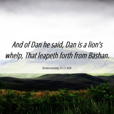 Picture 06 - Deuteronomy 33:22 ASV - And of Dan he said, Dan is a lion's whelp, That - Bible Verse Picture