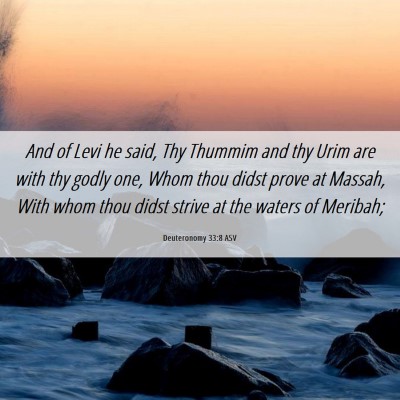 Picture 06 - Deuteronomy 33:8 ASV - And of Levi he said, Thy Thummim and thy Urim are - Bible Verse Picture