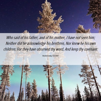 Picture 06 - Deuteronomy 33:9 ASV - Who said of his father, and of his mother, I have - Bible Verse Picture