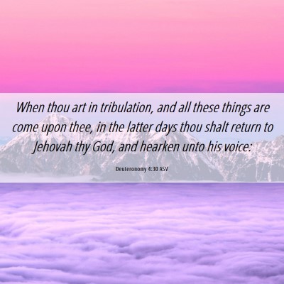 Picture 06 - Deuteronomy 4:30 ASV - When thou art in tribulation, and all these - Bible Verse Picture