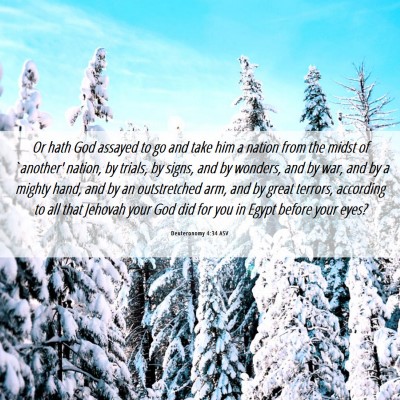 Picture 06 - Deuteronomy 4:34 ASV - Or hath God assayed to go and take him a nation - Bible Verse Picture
