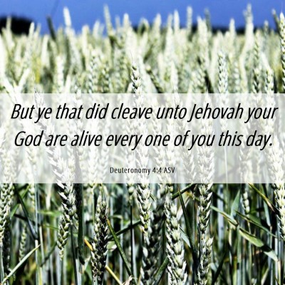 Picture 06 - Deuteronomy 4:4 ASV - But ye that did cleave unto Jehovah your God are - Bible Verse Picture