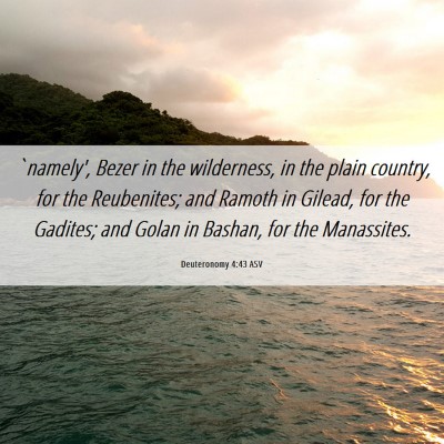 Picture 06 - Deuteronomy 4:43 ASV - `namely', Bezer in the wilderness, in the plain - Bible Verse Picture