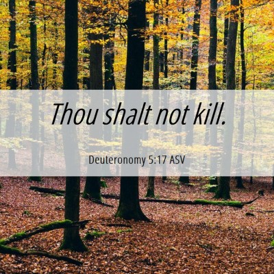 Picture 06 - Deuteronomy 5:17 ASV - Thou shalt not - Bible Verse Picture