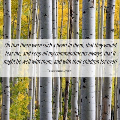 Picture 06 - Deuteronomy 5:29 ASV - Oh that there were such a heart in them, that - Bible Verse Picture