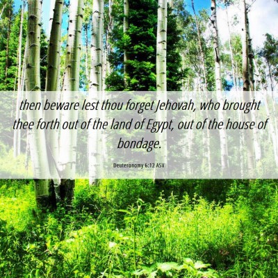 Picture 06 - Deuteronomy 6:12 ASV - then beware lest thou forget Jehovah, who brought - Bible Verse Picture