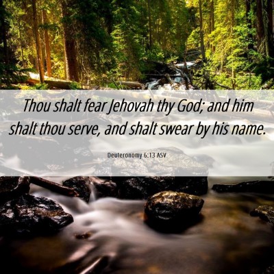 Picture 06 - Deuteronomy 6:13 ASV - Thou shalt fear Jehovah thy God; and him shalt - Bible Verse Picture