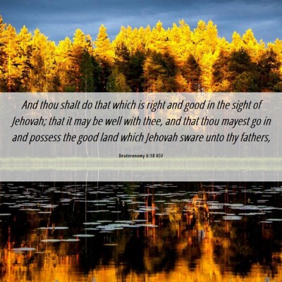 Picture 06 - Deuteronomy 6:18 ASV - And thou shalt do that which is right and good in - Bible Verse Picture