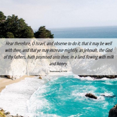 Picture 06 - Deuteronomy 6:3 ASV - Hear therefore, O Israel, and observe to do it; - Bible Verse Picture