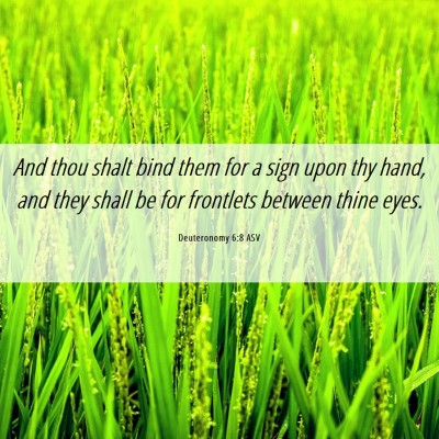 Picture 06 - Deuteronomy 6:8 ASV - And thou shalt bind them for a sign upon thy - Bible Verse Picture