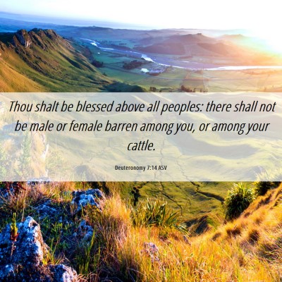 Picture 06 - Deuteronomy 7:14 ASV - Thou shalt be blessed above all peoples: there - Bible Verse Picture