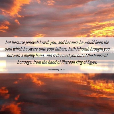 Picture 06 - Deuteronomy 7:8 ASV - but because Jehovah loveth you, and because he - Bible Verse Picture