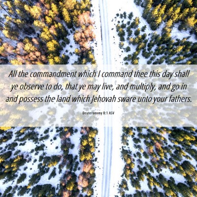 Picture 06 - Deuteronomy 8:1 ASV - All the commandment which I command thee this day - Bible Verse Picture