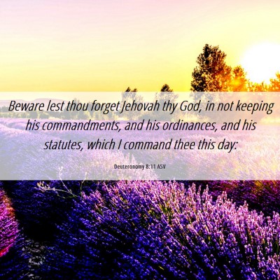 Picture 06 - Deuteronomy 8:11 ASV - Beware lest thou forget Jehovah thy God, in not - Bible Verse Picture