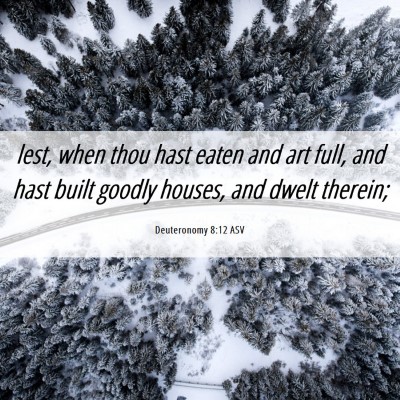 Picture 06 - Deuteronomy 8:12 ASV - lest, when thou hast eaten and art full, and hast - Bible Verse Picture