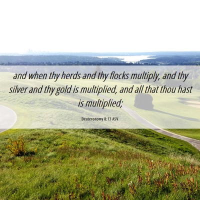 Picture 06 - Deuteronomy 8:13 ASV - and when thy herds and thy flocks multiply, and - Bible Verse Picture