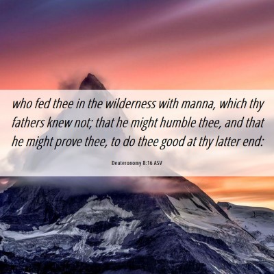 Picture 06 - Deuteronomy 8:16 ASV - who fed thee in the wilderness with manna, which - Bible Verse Picture