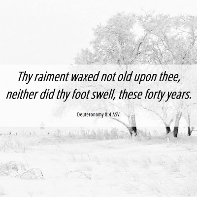 Picture 06 - Deuteronomy 8:4 ASV - Thy raiment waxed not old upon thee, neither did - Bible Verse Picture