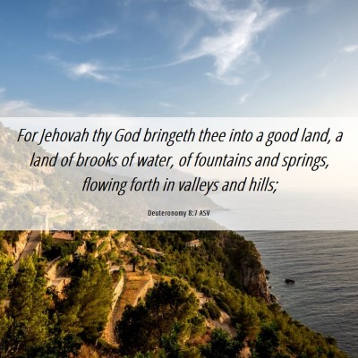 Picture 06 - Deuteronomy 8:7 ASV - For Jehovah thy God bringeth thee into a good - Bible Verse Picture