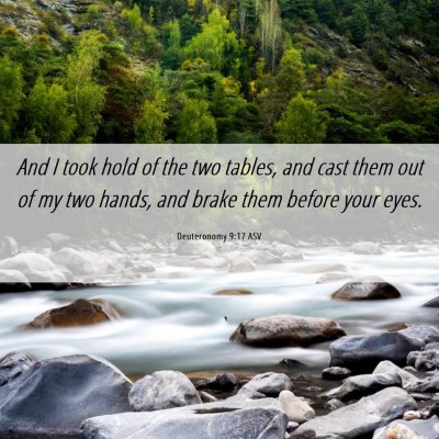 Picture 06 - Deuteronomy 9:17 ASV - And I took hold of the two tables, and cast them - Bible Verse Picture