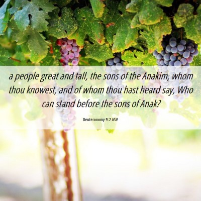 Picture 06 - Deuteronomy 9:2 ASV - a people great and tall, the sons of the Anakim, - Bible Verse Picture