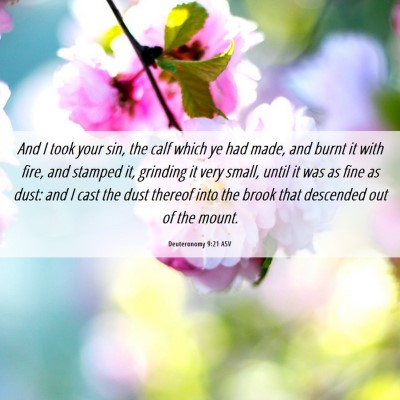 Picture 06 - Deuteronomy 9:21 ASV - And I took your sin, the calf which ye had made, - Bible Verse Picture