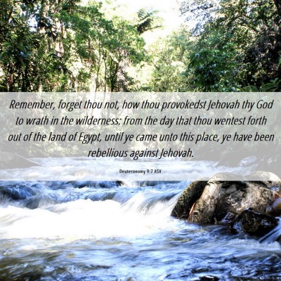 Picture 06 - Deuteronomy 9:7 ASV - Remember, forget thou not, how thou provokedst - Bible Verse Picture