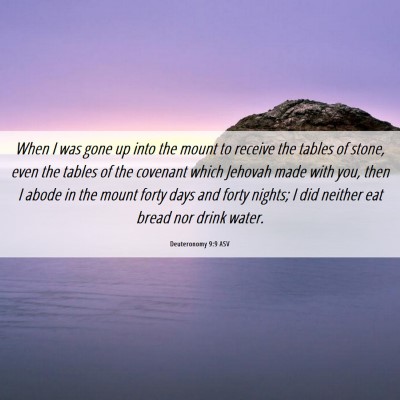 Picture 06 - Deuteronomy 9:9 ASV - When I was gone up into the mount to receive the - Bible Verse Picture