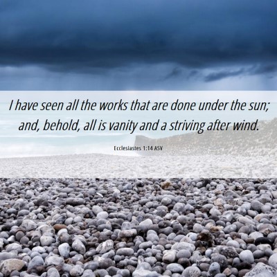 Picture 06 - Ecclesiastes 1:14 ASV - I have seen all the works that are done under the - Bible Verse Picture