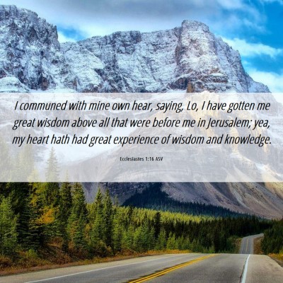 Picture 06 - Ecclesiastes 1:16 ASV - I communed with mine own hear, saying, Lo, I have - Bible Verse Picture