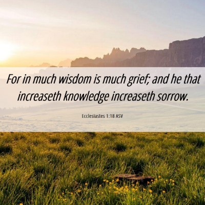 Picture 06 - Ecclesiastes 1:18 ASV - For in much wisdom is much grief; and he that - Bible Verse Picture