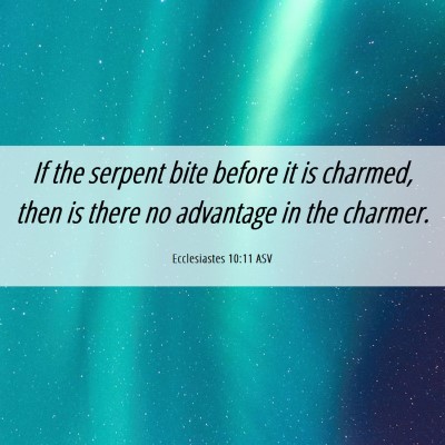 Picture 06 - Ecclesiastes 10:11 ASV - If the serpent bite before it is charmed, then is - Bible Verse Picture