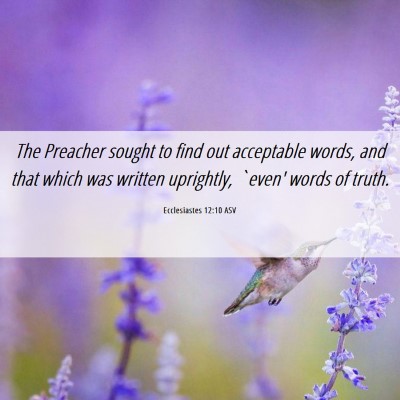 Picture 06 - Ecclesiastes 12:10 ASV - The Preacher sought to find out acceptable words, - Bible Verse Picture