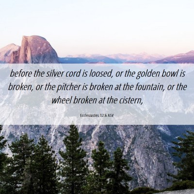 Picture 06 - Ecclesiastes 12:6 ASV - before the silver cord is loosed, or the golden - Bible Verse Picture