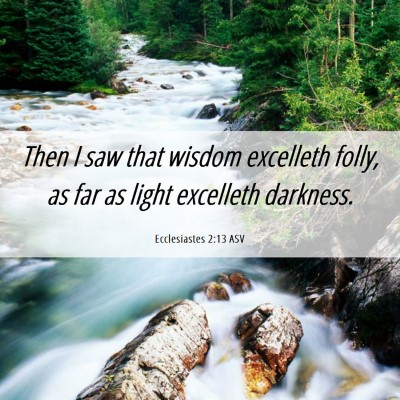 Picture 06 - Ecclesiastes 2:13 ASV - Then I saw that wisdom excelleth folly, as far as - Bible Verse Picture