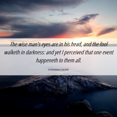 Picture 06 - Ecclesiastes 2:14 ASV - The wise man's eyes are in his head, and the fool - Bible Verse Picture