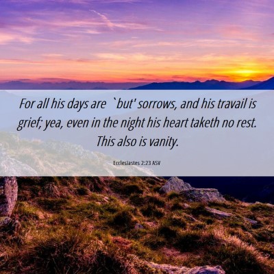 Picture 06 - Ecclesiastes 2:23 ASV - For all his days are `but' sorrows, and his - Bible Verse Picture