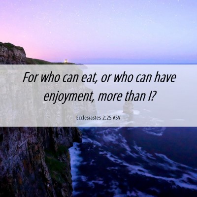 Picture 06 - Ecclesiastes 2:25 ASV - For who can eat, or who can have enjoyment, more - Bible Verse Picture