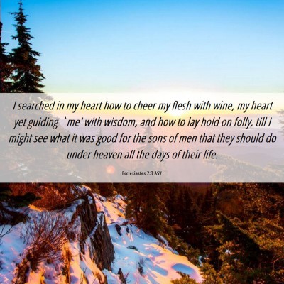 Picture 06 - Ecclesiastes 2:3 ASV - I searched in my heart how to cheer my flesh with - Bible Verse Picture