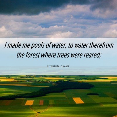 Picture 06 - Ecclesiastes 2:6 ASV - I made me pools of water, to water therefrom the - Bible Verse Picture
