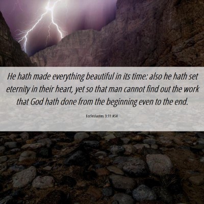 Picture 06 - Ecclesiastes 3:11 ASV - He hath made everything beautiful in its time: - Bible Verse Picture