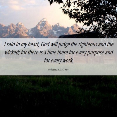 Picture 06 - Ecclesiastes 3:17 ASV - I said in my heart, God will judge the righteous - Bible Verse Picture