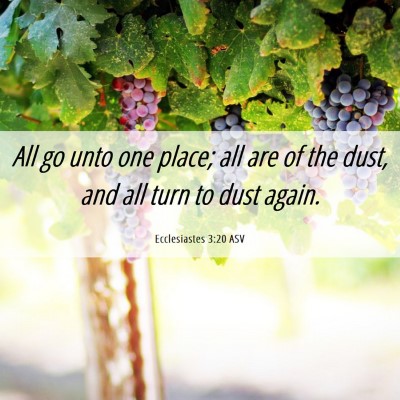Picture 06 - Ecclesiastes 3:20 ASV - All go unto one place; all are of the dust, and - Bible Verse Picture