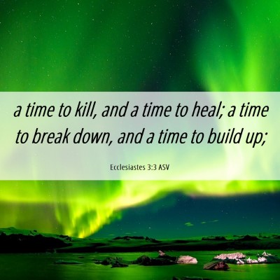 Picture 06 - Ecclesiastes 3:3 ASV - a time to kill, and a time to heal; a time to - Bible Verse Picture